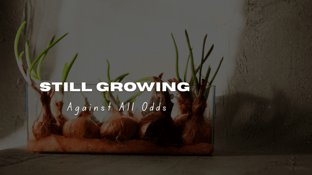 An onion sprouting green leaves despite poor conditions, symbolizing resilience and growth
